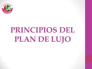 PRINCIPIOS DEL
PLAN DE LUJO
 