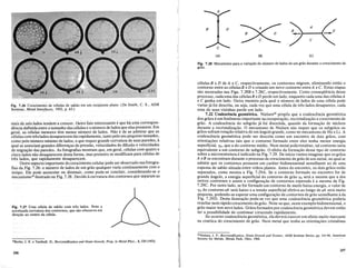 (C)
(8)
o
(A)
B
Fig. 7.28 Mecanismo para a varia<;:ao do mimero de lados de urn grao durante 0 crescimento de
grao.
celulas BeD de A e C, respectivamente, os contornos migram, eliminando enta~ 0
contorno entre as celulasB e De criando urn novo contorno entreA e C. Estas etapas
sao mostradas nas Figs. 7.28B e 7.28C, respectivamente. Como conseqiiencia desse
processo, cada uma das celulasB eD perde urn lado, enquanto cada uma das celulasA
e C ganha urn lado. Outra maneira pela qual 0 ntimero de lados de uma celula pode
variar ja foi descrita, ou seja, cada vez que uma celula de tres lados desaparece, cada
uma de suas vizinhas perdeum .lado.
7.22 Coalescenciageometrica. Nielsen20
propos que a coalescenciageometrica
dos graos e urn fenomeno importante narecupera~ao,recristaliza~aoe crescimento.de
grao. A coalescencia do subgrao ja foi discutida, quando da forma~ao de nticleos
durante a recristaliza~ao. 0 mecanismo de Nielsen nao requer que os subgraos ou
graos sofram rota~ao relativa de urn angulo grande, como no mecanismo de Hu eLi. A
coalescenciageometrica pode ser descrita como urn encontro de dois graos, com
orienta~6es relativas tais que 0 contorno formado entre eles tenha menor energia
superficial, YG' que ado contorno medio. Num metal policristalino, tal contorno seria
equivalente a urn contorno de subgrao. Oefeitoda forma~ao desse tipo de contorno
sobre a microestrutura e indicado na Fig.7.29.·De inicio vamos imaginar que os graos
A eB se encontram durante 0 processo de crescimento de grao de urn metal, no qual se
admite que os contornos possuern urn caraterbidimensionalsemelhante aode uma
espuma de sabao situada entrevidros pIanos. Antes do encontro, os dois graos estao
separados, como mostra a Fig. 7.29A. Se 0 contorno formado no encontro for de
grande angulo, a energia superficial do contorno de grao YG sera a mesma que ados
outros contornos e assim a configura~ao de contornos esperada e a mesma da Fig.
7.29C. Por outro lado, se for formado urn contorno de muito baixa energia, 0 valor de
YG do contorno ab sera baixo e a tensao superficial efetiva ao longo de ab sera muito
pequena, podendo-se esperar uma configura~aode contornos de grao semelhante ada
Fig. 7.29D. Desta ilustra~aopode-sever que uma coalescencia geometrica poderia
resultar num rapido crescimento de grao. Note-se que, neste exemplo bidimensional, 0
grao maior tern nove lados. Griios formados por coalescencia geometrica devem entao
ter a possibilidade de continuar crescendo rapidamente.
Se ocorrer coalescencia geometrica, ela devera exercer urn efeito muito marcante
na cinetica do crescimento de grao. Num metal que tenha as orienta~6es cristalinas
Fig. 7.27 Uma celula de sabao com tres lados. Note a
acentuada curvatura dos contornos, que sao concavos em
dire<;:ao ao centro da celula.
maisdeseis.ladostendem.a crescer. Outrofato interessante e que hi uma correspon-
de.ncia definidaentre. 0 tamanho das.ceIulas e 0 mimero de lados que elas possuem. Em
geral, as celulas menores tern menor ntimero de lados. Nao e de se admirar que as
cellllas com tre~lados desaparecem tao rapidamente, tanto pelo seupequenotamanho,
c()mo pelolltimero mfnimo de lados, 0 que requer grande curvatura de suas paredes, a
qual se associal!lgrandes diferen~asde pressao, velocidades de difusao e velocidades
de Il1igra~ao das paredes. As fotografias mostram que, em geral, ceIulas com quatro e
cinco lados nao desaparecem destaforma, mas primeiro se modificam para celulas de
tres lados, que rapidamente desaparecem.
Outro aspecto importante do crescimel1to celular pode ser observado nas fotogra-
fiasdaFig. 7.26: 0 ntimero de lados de urn graoqualquer varia.continuamente com 0
tempo. Ele pode aumentar ou diminuir, como pode-se concluir, considerando-se 0
mecanismol9 ilustrado na ~ig. 7.28. Devido a curvatura dos .contornos que separam as
Fig. 7.26 Crescimento de'celulas de sabao em urn recipiehte plano. (De Smith, .C. S., ASM
Seminar, Metal Interfaces, 1952, p. 65.)
"Burke,J. E. e Turnbull, D., Recrystallization a,iJ Grain Growth, Prog. in MetaIPhys., 3,220 (1952).
'ONielsen, J. P., Recrystallization, Grain Growth and Texture, ASM Seminar Series, pp. 141·64, American
Society for Metals, Metals Park, Ohio, 1%6.
256
257
 