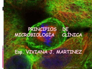 PRINCIPIOS DE
MICROBIOLOGÍA CLÍNICA
Esp. VIVIANA J. MARTINEZ
17/06/2013 09:12 p.m. 1
 