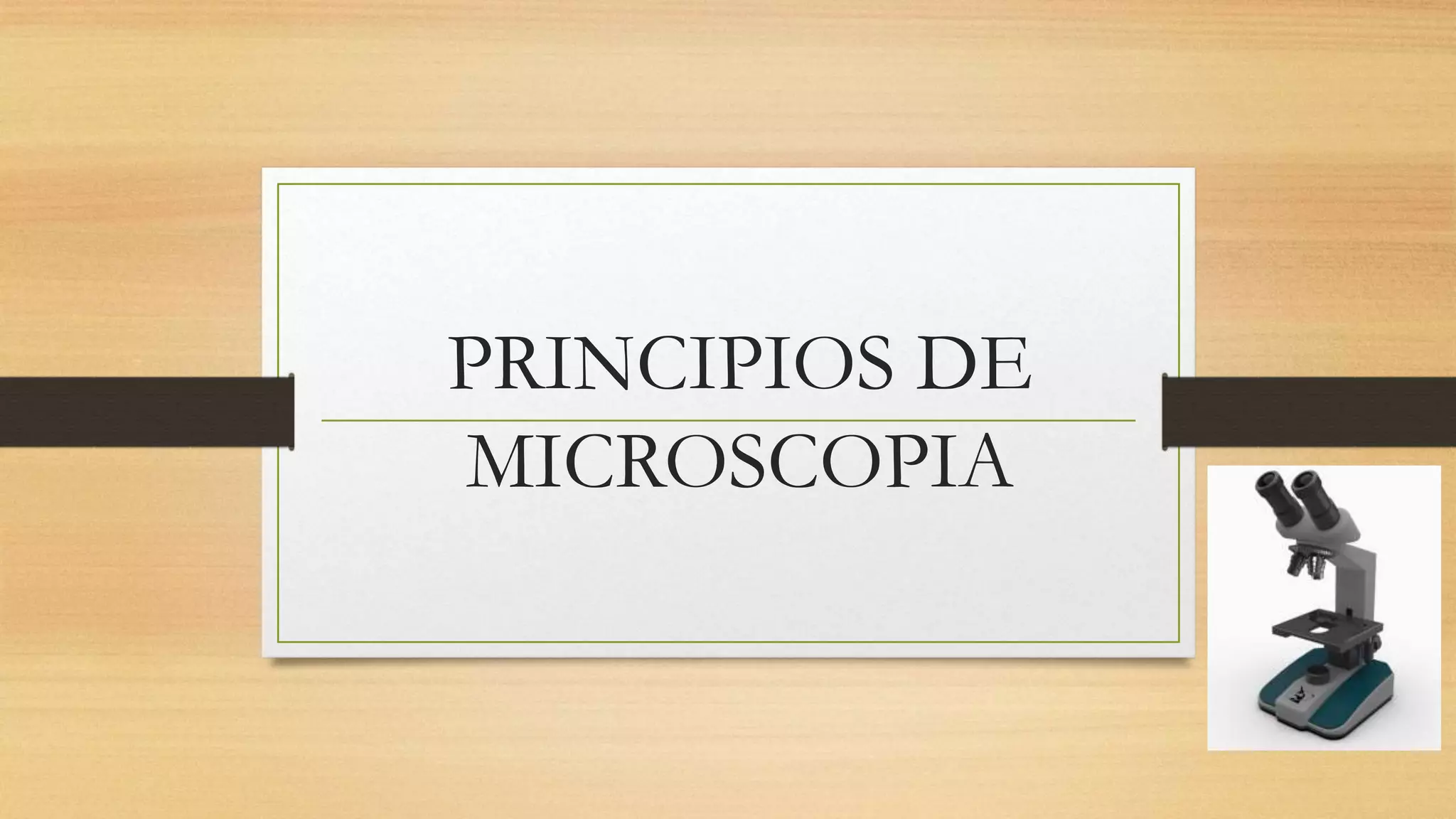 Principios y tipos de microscopía: óptico, electrónico y contraste de ...