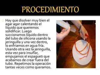 Hay que disolver muy bien el 
agar agar calentando el 
líquido que queremos 
solidificar. Luego 
succionamos líquido dentro 
del tubo de silicona usando la 
jeringuilla y una vez dentro, 
lo enfriamos en agua fría. 
Usando otra vez la jeringuilla, 
esta vez para insuflar, 
empujamos el espagueti que 
acabamos de crear fuera del 
tubo. Repetimos la operación 
tantas veces como queramos. 
 