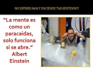 Principios de mixologia molecular