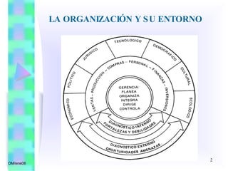 LA ORGANIZACIÓN Y SU ENTORNO OM/ene08 