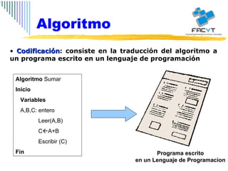 Codificación : consiste en la traducción del algoritmo a un programa escrito en un lenguaje de programación  Algoritmo Algoritmo  Sumar Inicio Variables A,B,C: entero Leer(A,B) C  A+B Escribir (C) Fin Programa escrito en un Lenguaje de Programacion 