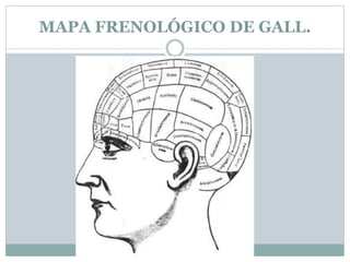 MAPA FRENOLÓGICO DE GALL.
 