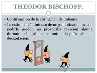 THEODOR BISCHOFF.
 Confirmación de la afirmación de Cabanis.
 La estimulación intensa de un guillotinado, incluso
pedirle perdón no provocaba reacción alguna
durante el primer minuto después de la
decapitación.
 