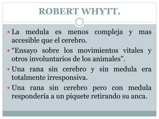 ROBERT WHYTT.
 La medula es menos compleja y mas
accesible que el cerebro.
 “Ensayo sobre los movimientos vitales y
otros involuntarios de los animales”.
 Una rana sin cerebro y sin medula era
totalmente irresponsiva.
 Una rana sin cerebro pero con medula
respondería a un piquete retirando su anca.
 