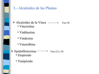 3.- Alcaloides de las Plantas   Alcaloides de la Vinca Fase M Vincristina Vinblastina Vindesina Vinorelbina Epidofilotoxinas Fase G2 y M Etopósido Tenipósido 
