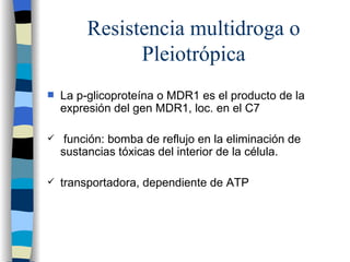 Resistencia multidroga o Pleiotrópica La p-glicoproteína o MDR1 es el producto de la expresión del gen MDR1, loc. en el C7 función: bomba de reflujo en la eliminación de sustancias tóxicas del interior de la célula. transportadora, dependiente de ATP 