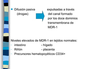 Difusión pasiva  expulsadas a través  (drogas)  del canal formado  por los doce dominios transmembrana de  MDR-1 Niveles elevados de MDR-1 en tejidos normales: intestino  - hígado Riñón  - placenta Precursores hematopoyéticos CD34+ 