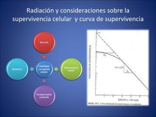 Radiación y consideraciones sobre la supervivencia celular  y curva de supervivencia 