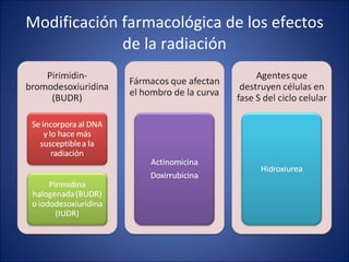 Modificación farmacológica de los efectos de la radiación 