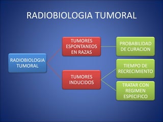 RADIOBIOLOGIA TUMORAL 