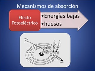 Mecanismos de absorción 