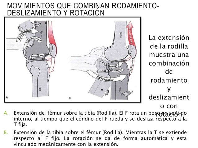 Principios de rehabilitación capitulo 1 puesta en marcha