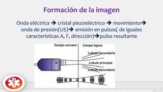 Formación de la imagen
Onda eléctrica  cristal piezoeléctrico  movimiento
onda de presión(US) emisión en pulsos( de iguales
características A, F, dirección)pulso resultante
 