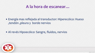 A la hora de escanear…
• Energía mas reflejada al transductor: Hiperecóico: Hueso
,tendón ,pleura y borde nervios
• Al revés Hipoecóico: Sangre, fluidos, nervios
 