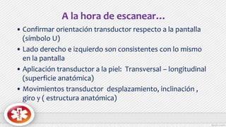 A la hora de escanear…
• Confirmar orientación transductor respecto a la pantalla
(símbolo U)
• Lado derecho e izquierdo son consistentes con lo mismo
en la pantalla
• Aplicación transductor a la piel: Transversal – longitudinal
(superficie anatómica)
• Movimientos transductor desplazamiento, inclinación ,
giro y ( estructura anatómica)
 