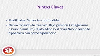 Puntos Claves
• Modificable: Ganancia – profundidad
• Nervio rodeado de musculo: Bajo ganancia ( imagen mas
oscura: perineuro) Tejido adiposo al revés Nervio redondo
hipoecoico con borde hiperecoico
 