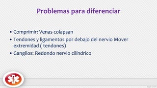 Problemas para diferenciar
• Comprimir: Venas colapsan
• Tendones y ligamentos por debajo del nervio Mover
extremidad ( tendones)
• Ganglios: Redondo nervio cilíndrico
 