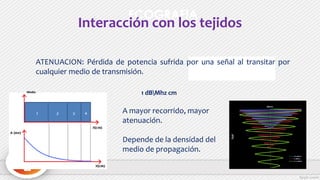 ECOGRAFIA
ATENUACION: Pérdida de potencia sufrida por una señal al transitar por
cualquier medio de transmisión.
Medio
A mayor recorrido, mayor
atenuación.
Depende de la densidad del
medio de propagación.
Interacción con los tejidos
1 dBMhz cm
 