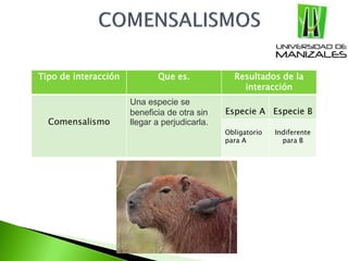 Tipo de interacción Que es. Resultados de la
interacción
Comensalismo
Una especie se
beneficia de otra sin
llegar a perjudicarla.
Especie A Especie B
Obligatorio
para A
Indiferente
para B
 