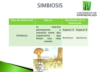 Tipo de interacción Que es. Resultados de la
interacción
Simbiosis
la relación
permanente y
estrecha entre dos
organismos que
llevan una vida
común.
Especie A Especie B
Beneficioso Beneficioso
 