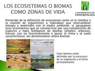 Partiendo de la definición de ecosistema como se le nombra a
la reunión de organismos o individuos que intercambian
energía y materiales con el medio ambiente, si agrupamos
esos ecosistemas que se caracterizan por una composición de
especies y tipos biológicos de plantas (árboles, arbustos,
hierva), con un funcionamiento y ajuste al clima y al suelo
característicos, los denominamos ahora biomas.
Estos biomas están
definidos por la estructura
de su vegetación y el clima
principalmente.
 
