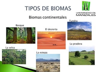 Biomas continentales
Bosque
Tundra
El desierto
La pradera
La estepa
La selva
 