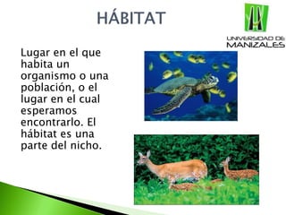 Lugar en el que
habita un
organismo o una
población, o el
lugar en el cual
esperamos
encontrarlo. El
hábitat es una
parte del nicho.
 