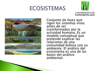 Conjunto de leyes que
rigen los sistemas vivos
antes de ser
transformados por la
actividad humana. Es un
modelo conceptual que
pretende explicar las
relaciones de una
comunidad biótica con su
ambiente. El análisis del
ecosistema es una de las
bases del análisis
ambiental.
 