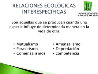 Son aquellas que se producen cuando una
especie influye de determinada manera en la
vida de otra.
• Mutualismo
• Parasitismo
• Comensalismos
• Amensalismo
• Depredación
• competencia
 