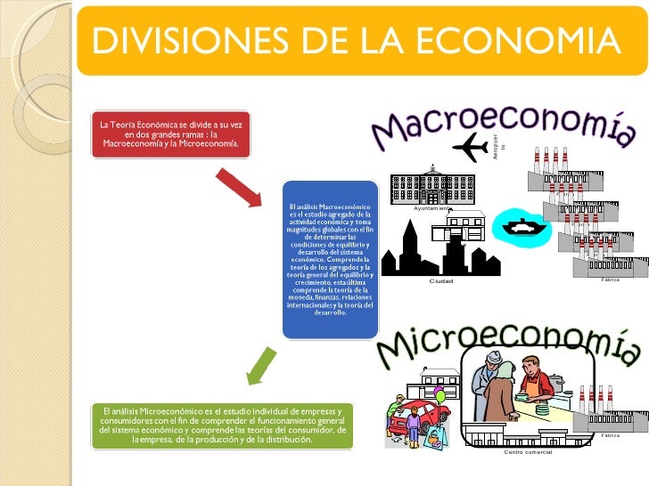 divisiones de la economia divisiones de la economia