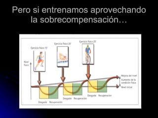 Pero si entrenamos aprovechando la sobrecompensación… 