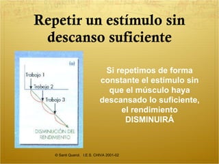 Repetir un estímulo sin descanso suficiente © Santi Querol.  I.E.S. CHIVA 2001-02 Si repetimos de forma constante el estímulo sin que el músculo haya descansado lo suficiente, el rendimiento DISMINUIRÁ 