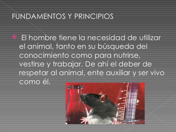 FUNDAMENTOS Y PRINCIPIOS    El hombre tiene la necesidad de utilizar    el animal, tanto en su búsqueda del    conocimien...
