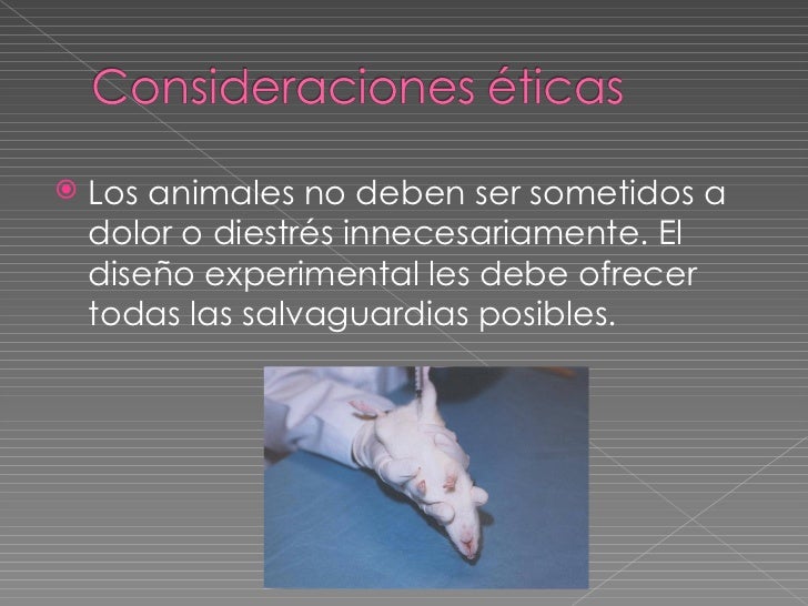    Los animales no deben ser sometidos a    dolor o diestrés innecesariamente. El    diseño experimental les debe ofrecer...