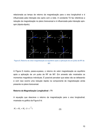 10
relacionada ao tempo de retorno da magnetização para o eixo longitudinal e é
influenciada pela interação dos spins com a rede. A constante T2 faz referência a
redução da magnetização no plano transversal e é influenciada pela interação spin-
spin (dipolo-dipolo).
Figura 8. Retorno do vetor magnetização ao equilíbrio após a aplicação de um pulso de RF de
90º.
A Figura 8 mostra, passo-a-passo, o retorno do vetor magnetização ao equilíbrio
após a aplicação de um pulso de RF de 90º. Em amarelo são mostrados os
momentos magnéticos individuais. É possível perceber que estes vão se defasando
e com isso ocorre uma redução rápida na componente de magnetização ainda
presente no plano transversal.
Retorno da Magnetização Longitudinal – T1
A equação que descreve o retorno da magnetização para o eixo longitudinal,
mostrada no gráfico da Figura 9 é:
€
Mz = ML = M0 ⋅ (1− e
−
t
T1
) (3)
 