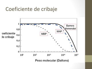 Coeficiente de cribaje
 