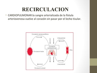 RECIRCULACION
• CARDIOPULMONAR:la sangre arterializada de la fístula
arteriovenosa vuelve al corazón sin pasar por el lecho tisular.
 