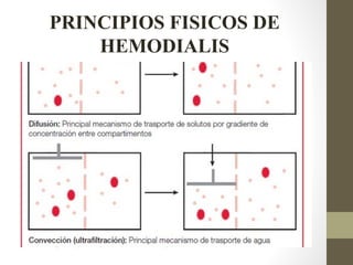 PRINCIPIOS FISICOS DE
HEMODIALIS
 