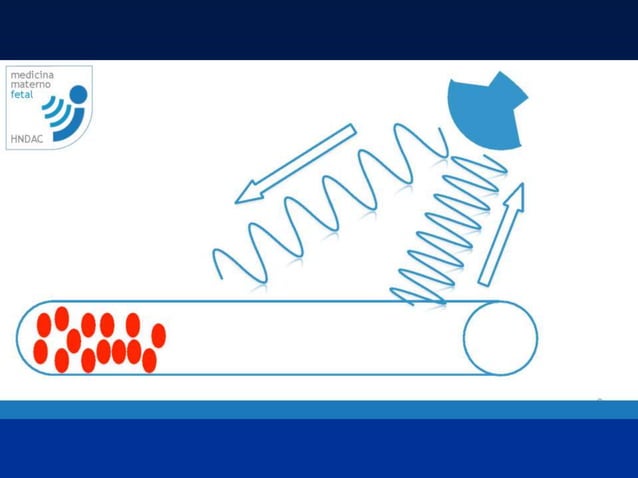 Principios Fisicos De Ecografia Doppler