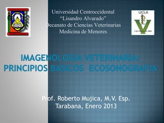 Universidad Centroccidental
      “Lisandro Alvarado”
 Decanato de Ciencias Veterinarias
      Medicina de Menores




Prof. Roberto Mujica, M.V. Esp.
     Tarabana, Enero 2013
 