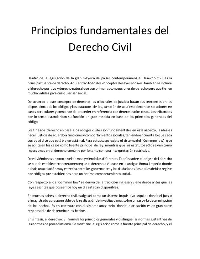 Principios fundamentales del derecho civil material acto