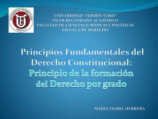 Principios fundamentales del derecho constitucional