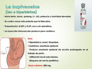 Inicio lento, durac. prolong. (+- 6h). potencia y toxicidad elevadas.
Es cuatro veces más potente que la lidocaína.
Presentación: 0.25% y 0.5% con o sin epinefrina.
La inyección intravascular produce paro cardiaco.
Usos:
Hiperbárica: anest. Raquidea.
Isobárica: anestesia epidural
Produce anestesia epidural de acción prolongada en el
trabajo de parto.
Infiltración local subcutanea.
Bloqueos de nervio periférico.
•Dosis máxima: 200 mg.
 