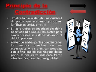 Principio de la
Contradicción
• Implica la necesidad de una dualidad
de partes que sostienen posiciones
jurídicas opuestas entre sí
• Si las pruebas se practican sin darle
oportunidad a una de las partes para
contradecirlas se estaría violando el
debido proceso.
• exige que ambas partes puedan tener
los mismos derechos de ser
escuchados y de practicar pruebas,
con la finalidad de que ninguna de las
partes se encuentre indefensa frente
a la otra. Requiere de una igualdad.
 
