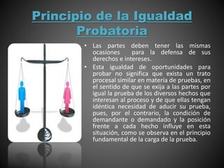 Principio de la Igualdad
Probatoria
• Las partes deben tener las mismas
ocasiones para la defensa de sus
derechos e intereses.
• Esta igualdad de oportunidades para
probar no significa que exista un trato
procesal similar en materia de pruebas, en
el sentido de que se exija a las partes por
igual la prueba de los diversos hechos que
interesan al proceso y de que ellas tengan
idéntica necesidad de aducir su prueba,
pues, por el contrario, la condición de
demandante o demandado y la posición
frente a cada hecho influye en esta
situación, como se observa en el principio
fundamental de la carga de la prueba.
 