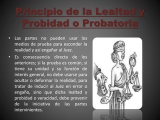 Principio de la Lealtad y
Probidad o Probatoria
• Las partes no pueden usar los
medios de prueba para esconder la
realidad y así engañar al Juez.
• Es consecuencia directa de los
anteriores; si la prueba es común, si
tiene su unidad y su función de
interés general, no debe usarse para
ocultar o deformar la realidad, para
tratar de inducir al Juez en error o
engaño, sino que dicha lealtad y
probidad o veracidad, debe provenir
de la iniciativa de las partes
intervinientes.
 