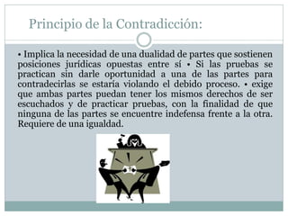 Principio de la Contradicción:
• Implica la necesidad de una dualidad de partes que sostienen
posiciones jurídicas opuestas entre sí • Si las pruebas se
practican sin darle oportunidad a una de las partes para
contradecirlas se estaría violando el debido proceso. • exige
que ambas partes puedan tener los mismos derechos de ser
escuchados y de practicar pruebas, con la finalidad de que
ninguna de las partes se encuentre indefensa frente a la otra.
Requiere de una igualdad.
 